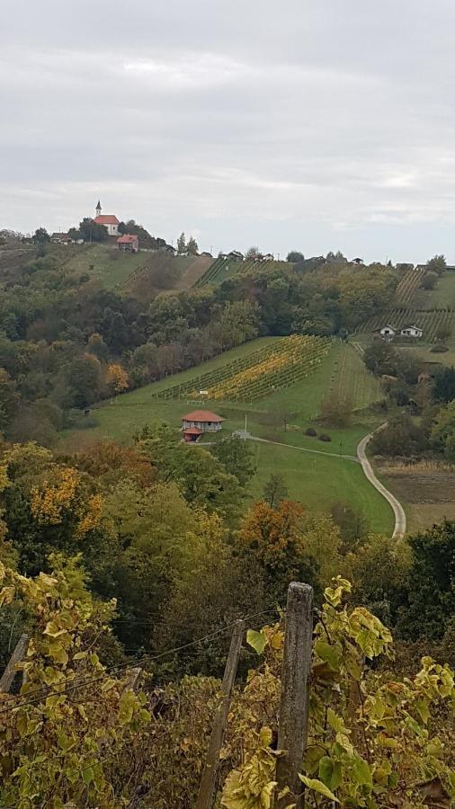 Вилла Kuca Za Odmor Nina Свети-Мартин-на-Мору Экстерьер фото